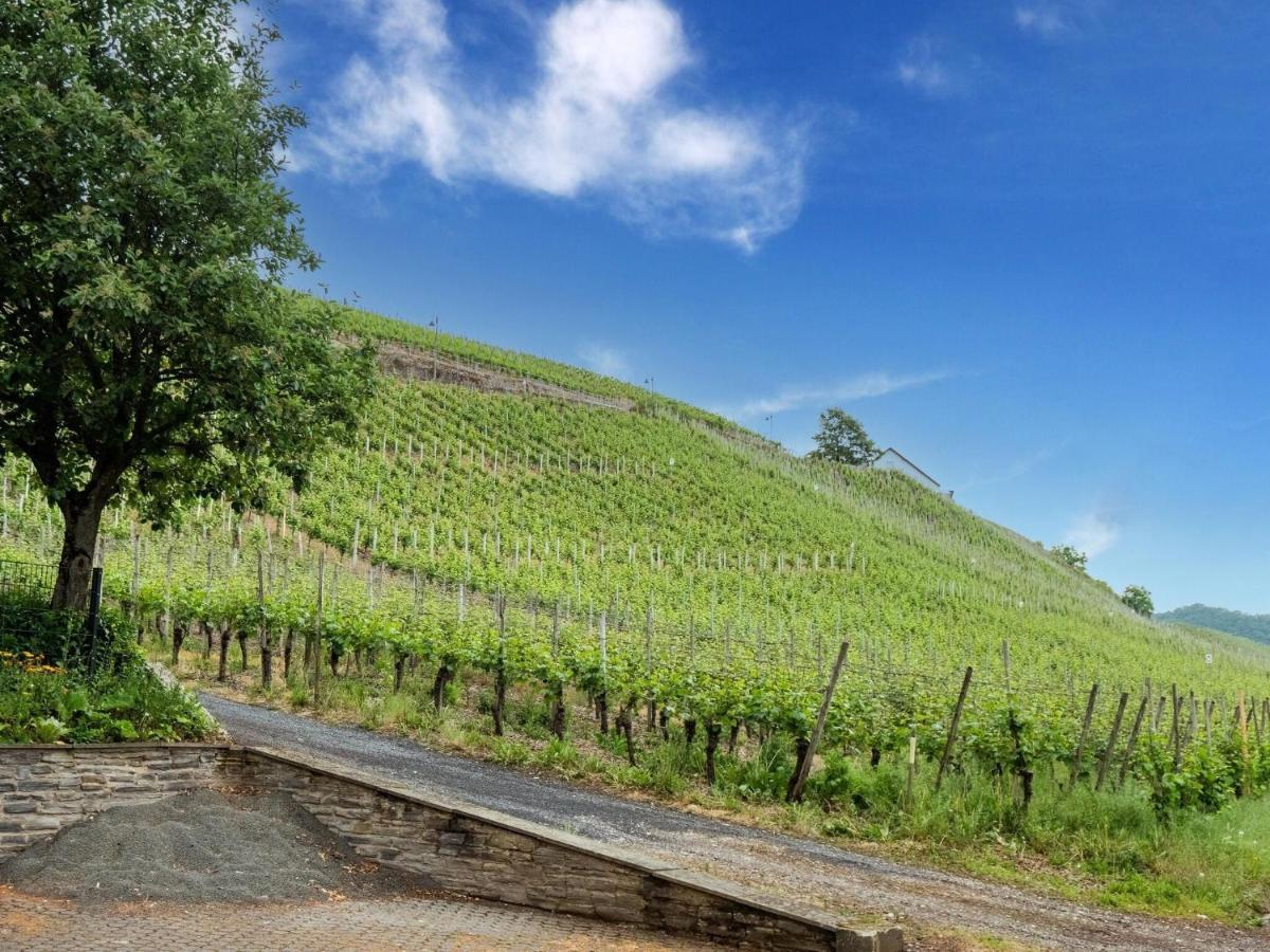 Charming Holiday Home In Neumagen Dhron Bagian luar foto